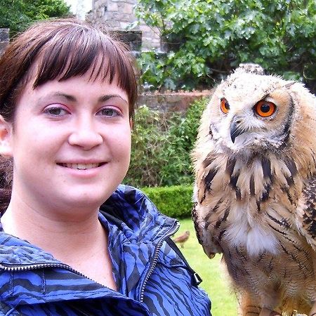 White Park B&B Ballybofey Bagian luar foto